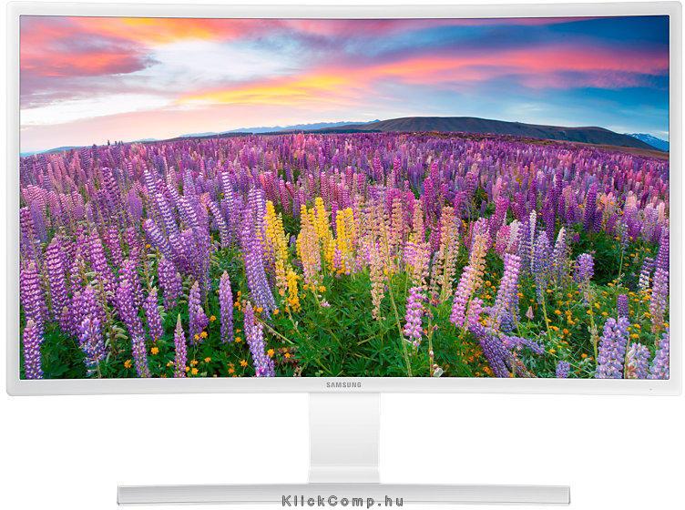 Monitor 27  VA FullHD Samsung S27E591CS fotó, illusztráció : LS27E591CS_EN