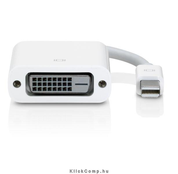 Apple Mini Displayport to DVI Adapter - MB570Z/B fotó, illusztráció : MB570Z_B