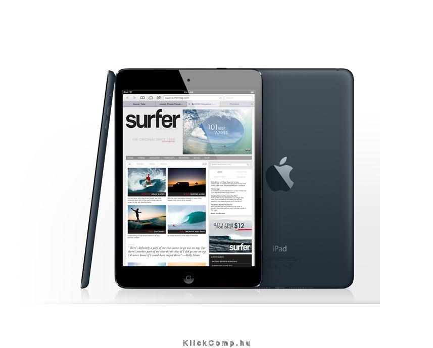 iPad mini 16 GB Wi-Fi Asztroszürke fotó, illusztráció : MF432