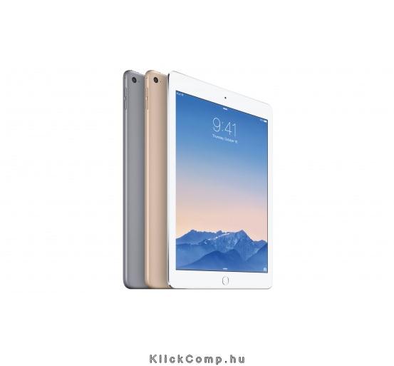 iPad Air 2 16 GB Wi-Fi asztroszürke fotó, illusztráció : MGL12