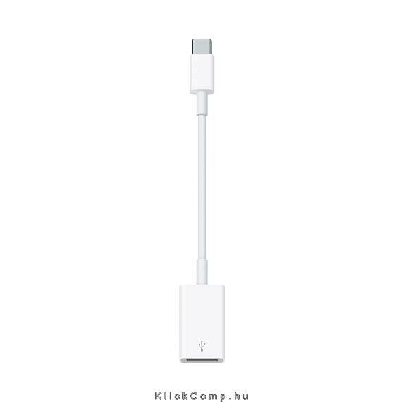 Apple USB-C to USB Adapter fotó, illusztráció : MJ1M2ZM_A