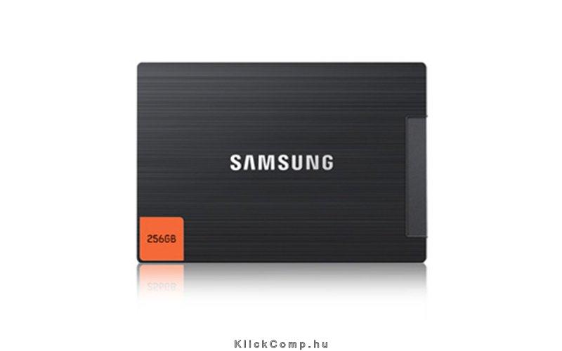 256GB SSD 2.5  SATA fotó, illusztráció : MZ7PC256B
