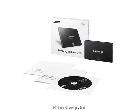 250GB SSD SATA3 2,5  SAMSUNG 850 EVO Basic MZ-75E250B/EU fotó, illusztráció : MZ-75E250B_EU