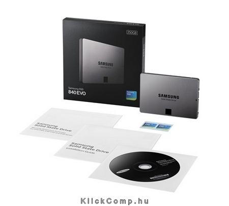 SSD 250GB EVO Basic, 840 Series, SATA3 fotó, illusztráció : MZ-7TE250BW