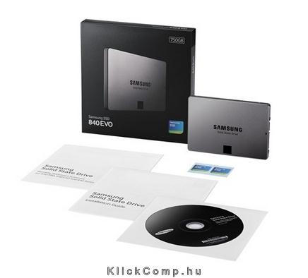 SSD 750GB EVO Basic, 840 Series, SATA3 fotó, illusztráció : MZ-7TE750BW
