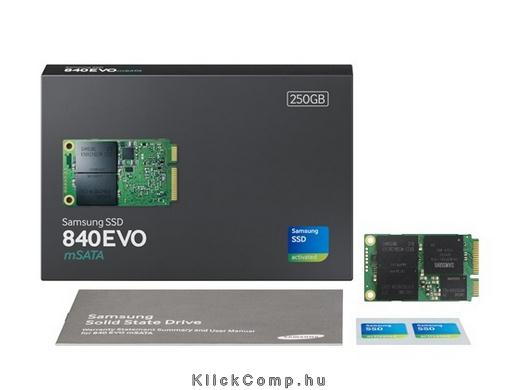 250GB SSD SATA3 mSATA SAMSUNG 840 EVO fotó, illusztráció : MZ-MTE250BW