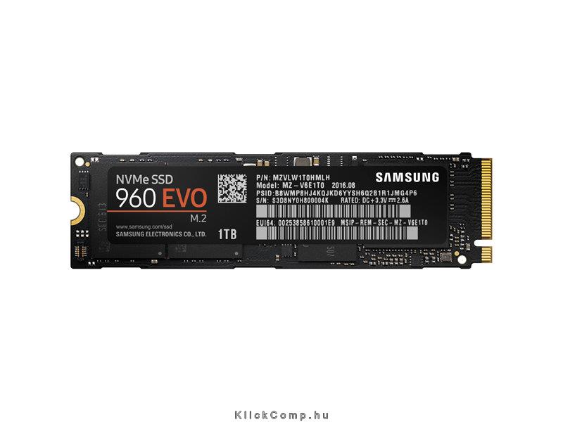 1TB SSD M.2 SATA Samsung EVO MZ-V6E1T0BW 960 Series fotó, illusztráció : MZ-V6E1T0BW