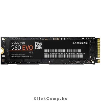 250GB SSD M.2 SATA Samsung EVO MZ-V6E250BW, 960 Series fotó, illusztráció : MZ-V6E250BW