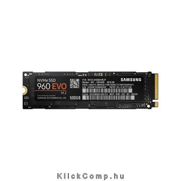 500GB SSD M.2 SATA Samsung EVO MZ-V6E500BW 960 Series fotó, illusztráció : MZ-V6E500BW