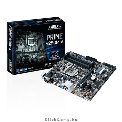 Asus PRIME B250M-A Alaplap s1151 fotó, illusztráció : PRIME-B250M-A