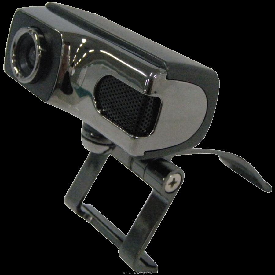Web kamera PWC420 2Mpixel, 1/4 , CMOS, USB 2.0 Silver fotó, illusztráció : PWC420HD