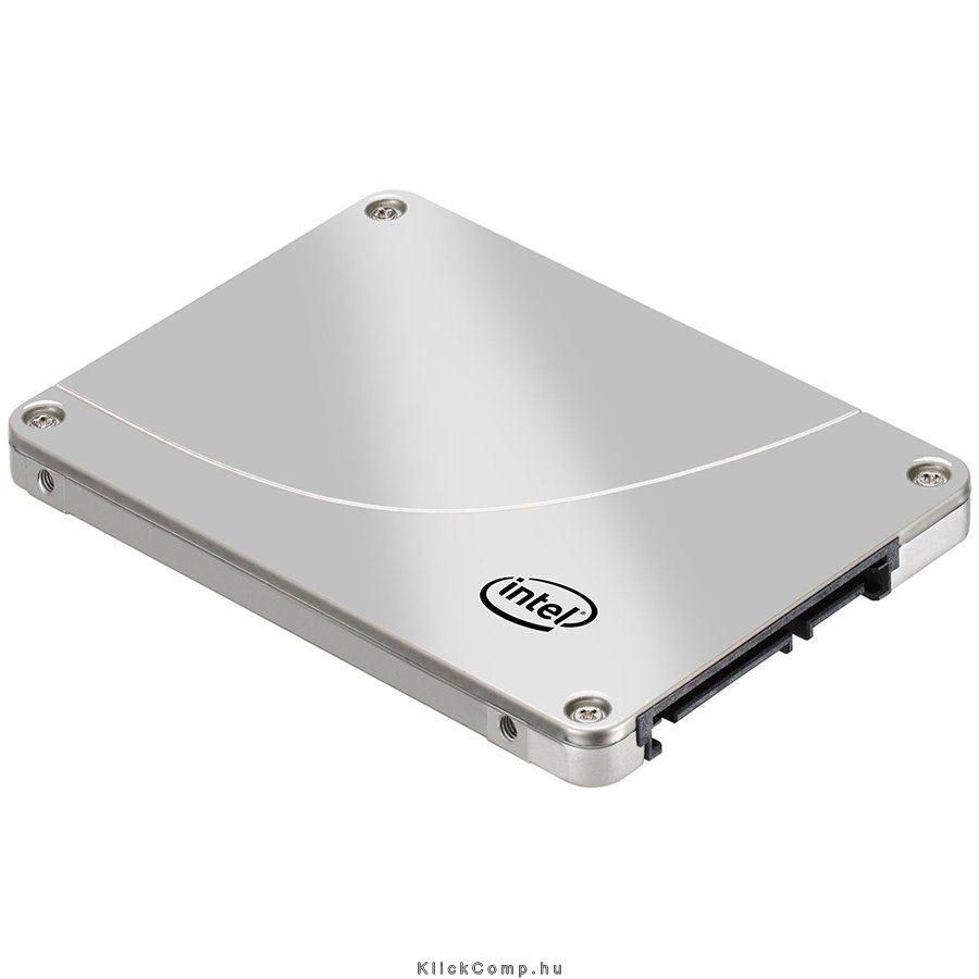Intel SSD DC S3700 Series 400GB, MLC HET, 2.5”, 7mm, 6Gbitps, 64MB, AES256, MTB fotó, illusztráció : SSDSC2BA400G301