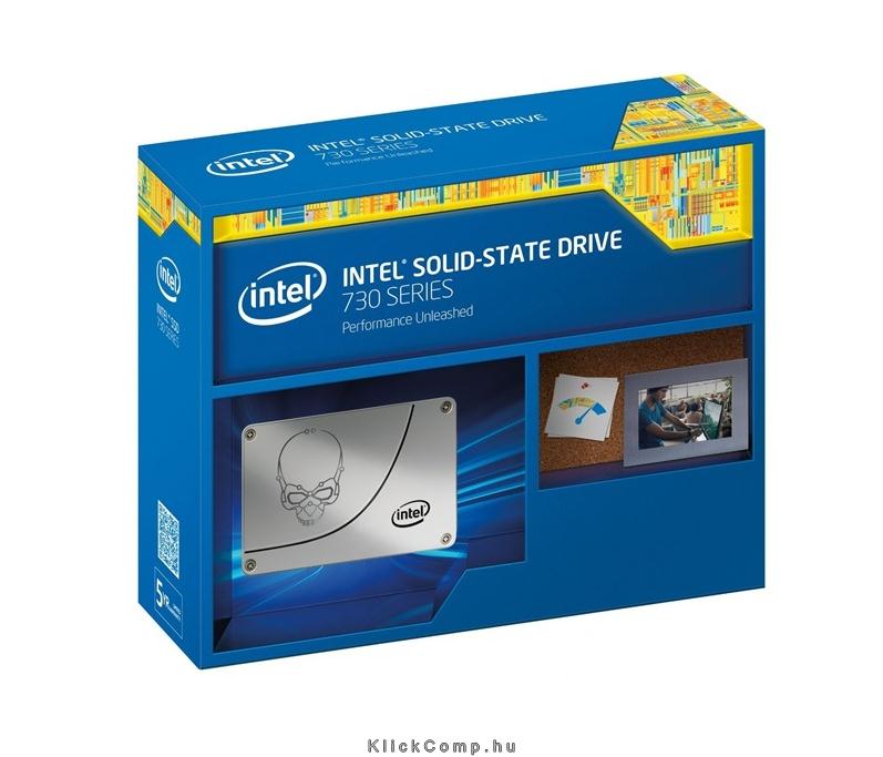 480GB SSD SATA3 2,5  7mm Intel s730 fotó, illusztráció : SSDSC2BP480G4R5