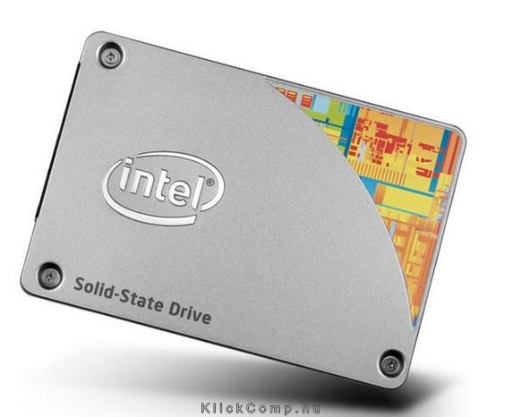 80GB SSD SATA3 INTEL Retail fotó, illusztráció : SSDSC2BW080A401