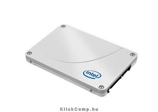 Intel 240GB SATA3 2,5  7mm s520 SSD fotó, illusztráció : SSDSC2BW240A301