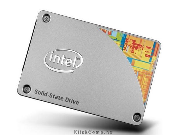 480GB SSD SATA3 2.5  Intel 530 Series MLC 7mm, Generic Single Pack fotó, illusztráció : SSDSC2BW480A401