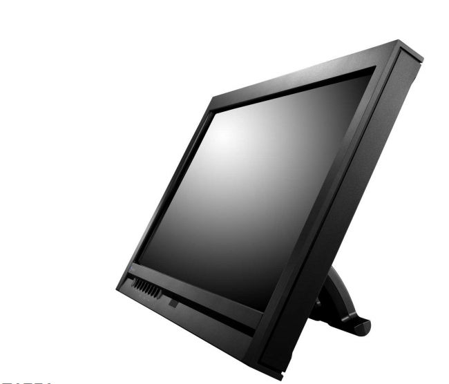 FlexScan 17  monitor fotó, illusztráció : T1751-GB