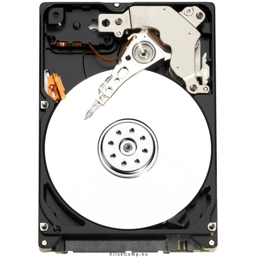 2TB 3,5  SATAIII HDD Western Digital Datacenter SE winchester fotó, illusztráció : WD2000F9YZ