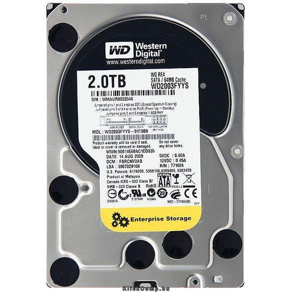 Western Digital 2TB 3,5  Desktop 7200rpm, 64 MB puffer, SATA-300 Raid Edition 4 fotó, illusztráció : WD2003FYYS