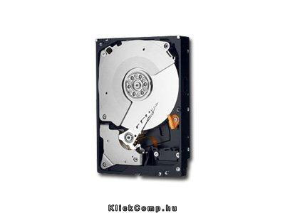 RE4 250GB HDD SATA2, 7200rpm, 64MB fotó, illusztráció : WD2503ABYX