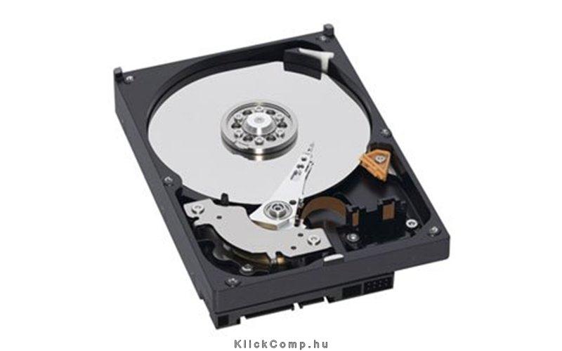 500GB 3,5  SATAIII HDD Western Digital Blue Caviar winchester fotó, illusztráció : WD5000AAKX