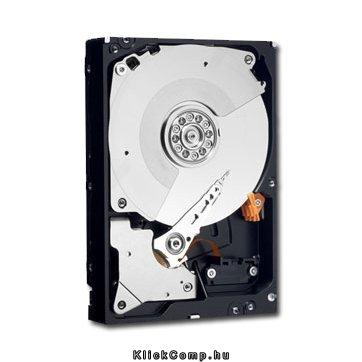 Western Digital 3,5  500GB belső SATAII 7200RPM 64MB Raid Edition 4 winchester fotó, illusztráció : WD5003ABYX