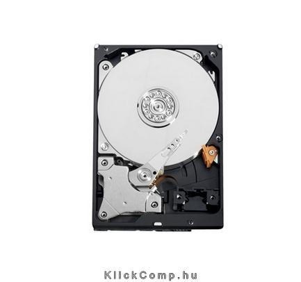 500GB 3,5  SATAIII HDD Western Digital Raid Edition 4 winchester fotó, illusztráció : WD5003ABYZ