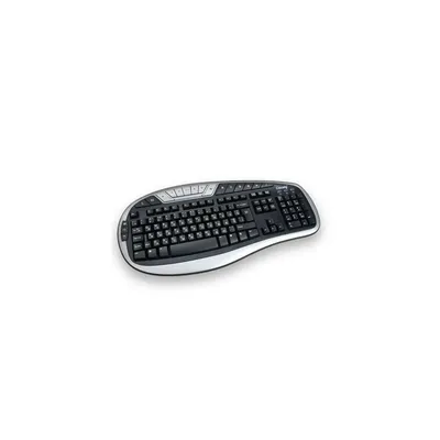 PS 2 fekete-ezüst HUN billentyűzet 0512KB fotó
