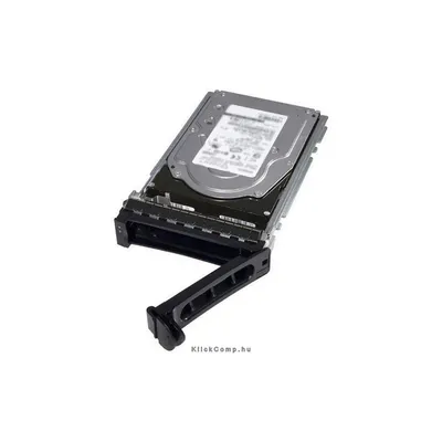 1TB 3.5" NLSAS HDD winchester Cabled Non Assembled DELL 400-22718 fotó