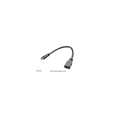 HDMI - miniHDMI - 25cm - Akasa AK-CBHD10-25BK AK-CBHD10-25BK fotó