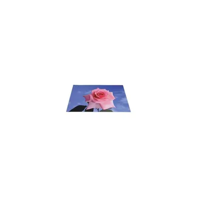 Notebook matrica Rózsa Laptop dekorációs védőfólia - Már nem forgalmazott termék CMP-NBSKIN10-3 fotó