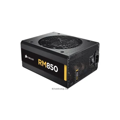 RM 850W, FULL Moduláris tápegység 80 + Gold CP-9020056-EU fotó