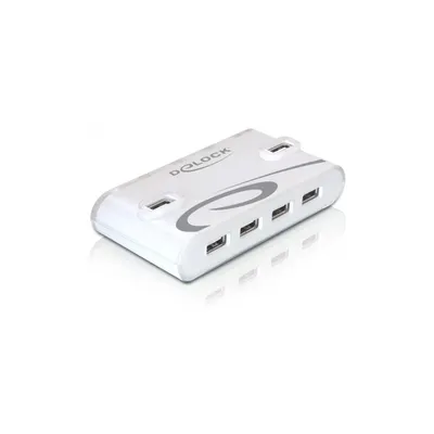 USB 2.0 Hub 10 port DELOCK-87468 fotó