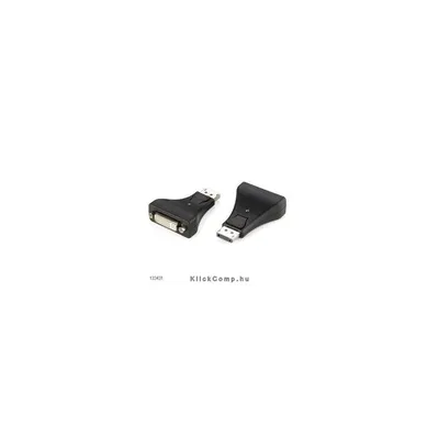 DisplayPort átalakító DVI-ra Delock EQUIP-133431 fotó