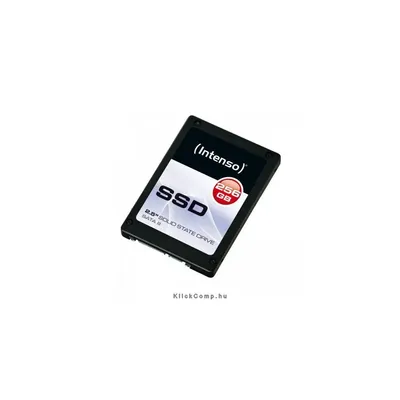 256GB SSD SATA3 INTENSO-3812440 fotó