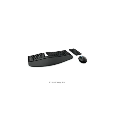 Vezetéknélküli billentyűzet + egér Microsoft Sculpt Ergonomic Desktop fekete L5V-00020 fotó