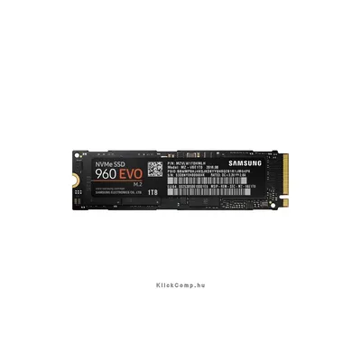 1TB SSD M.2 SATA Samsung EVO MZ-V6E1T0BW 960 Series MZ-V6E1T0BW fotó