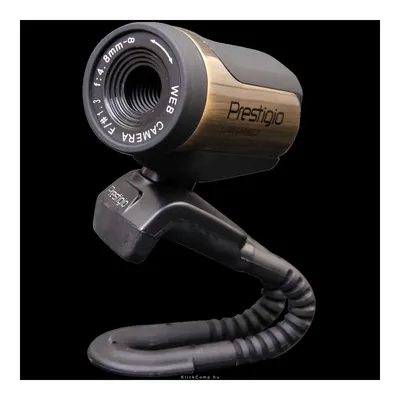 Web Camera PWC213 1.3Mpixel, 1 4", CMOS, USB 2.0 Black Bronze PWC213A fotó