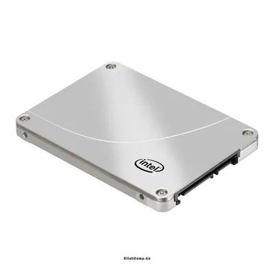 Intel SSD DC S3700 Series 100GB, MLC HET, 2.5”, 7mm, 6Gbitps, 64MB, AES256, MTBF 2Mhr, R W=500 200 MBps, R W=75k 19k IOPS, 5Yr SSDSC2BA100G301 fotó