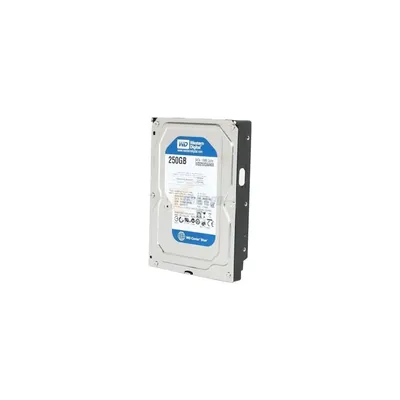 Western Digital 250GB 3,5" Desktop 7200rpm, 16 MB puffer, SATA-600 Blue WD2500AAKX fotó