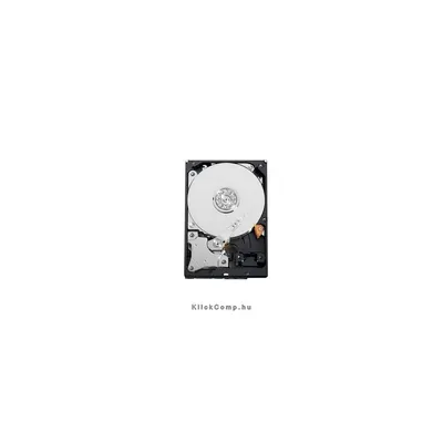 500GB 3,5&#34; SATAIII HDD Western Digital Raid Edition 4 winchester WD5003ABYZ fotó