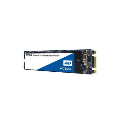 250GB SSD M.2 Western Digital Blue WDS250G2B0B fotó