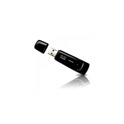 Linksys WUSB100 Vezeték nélküli 300Mbps USB adapter WUSB100-EU fotó