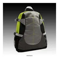 Backpack for up to 12  laptop, Gray/Green illusztráció, fotó 2