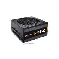 RM 650W, FULL Moduláris tápegység 80 + Gold illusztráció, fotó 1
