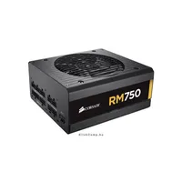 RM 750W, FULL Moduláris tápegység 80 + Gold illusztráció, fotó 3