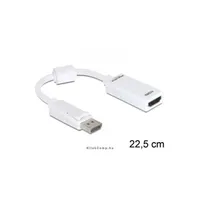 Adapter Displayport male > HDMI female Delock DELOCK-61767 Technikai adatok