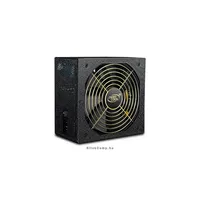 Tápegység 1000W, 80 Plus Gold, Aktív PFC, Moduláris, 14cm illusztráció, fotó 2