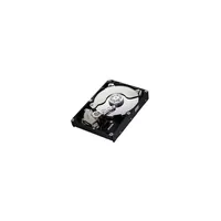 F3 HDD 1TB SATA/300 7200RPM 32MB PUFFER illusztráció, fotó 2