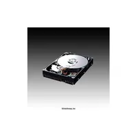 F1 HDD 750GB SATA/300 7200RPM 32MB PUFFER illusztráció, fotó 2
